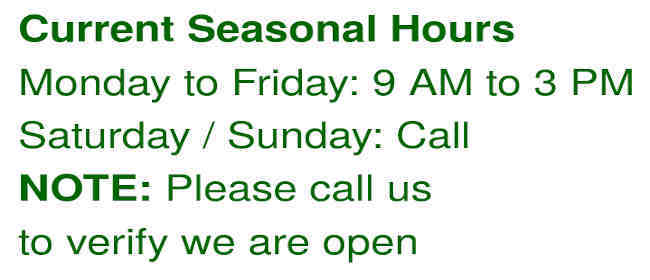 Current seasonal business hour