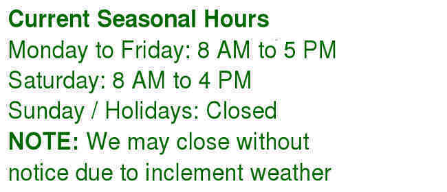 Current seasonal business hour